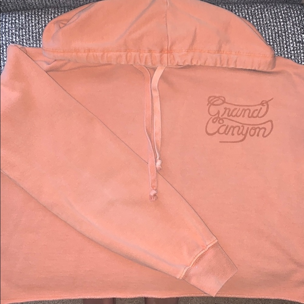 Cropped hoodie from American Eagle